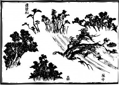 The picture which expressed various forms of the pine simple