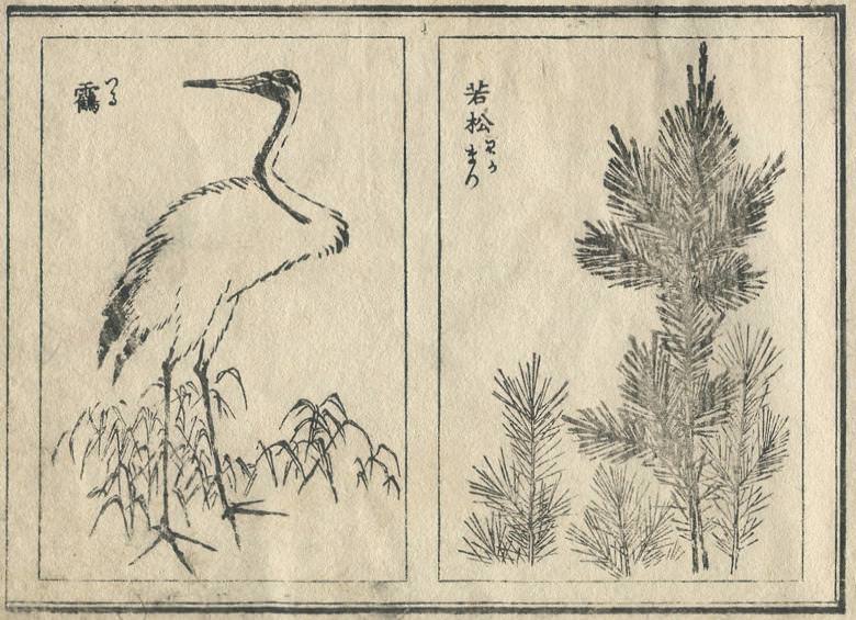 A "crane" and "Wakamatsu" are drawn.