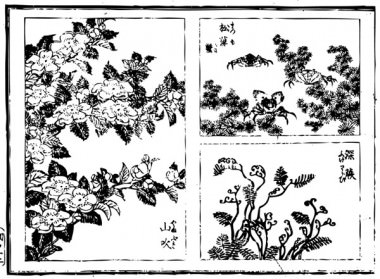 "Yamabuki", a "fir needle", a "crab", and "Warabi" are drawn)