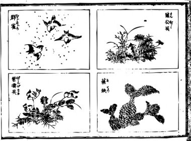 "sparrow", a "dandelion", "Astragalus sinicus", and a "Japanese sago palm" are drawn.