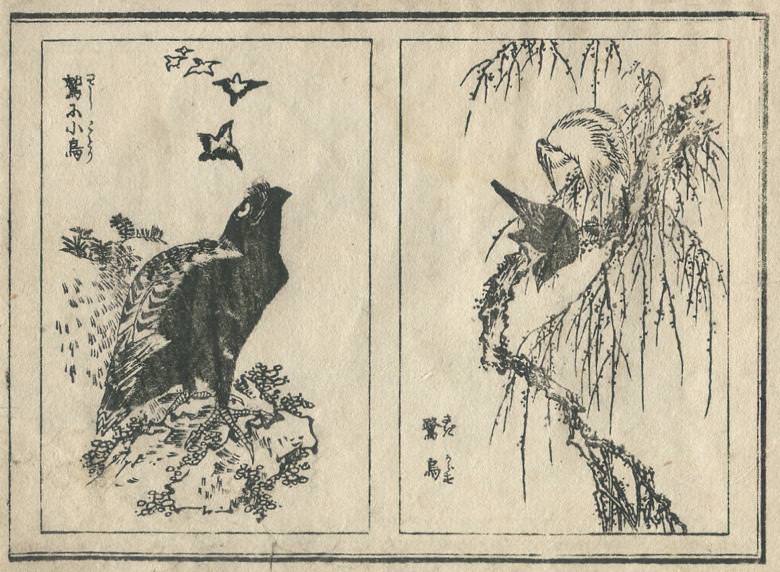 "It being a little bird to an eagle" and "the snowy heron and the crow" are drawn.