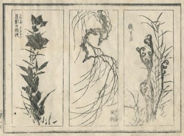 北斎圓式30(hokusaienshiki30)