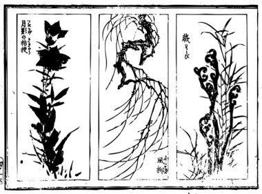 "The Chinese bellflower of moon shadow", "The willow which is blown by wind", and "Bracken" are drawn.