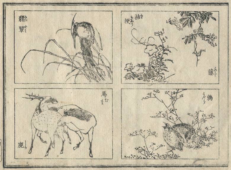 "Jade", a "Chinese bellflower", "Japanese wisteria", a "horse", a "deer", and "nightingale" are drawn.