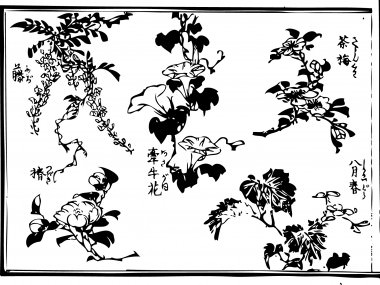 The picture in which Wisteria, a camellia, Asiatic dayflower, etc. were drawn
