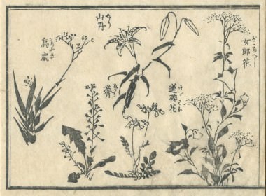 花鳥圓式12(kachouenshiki 12)