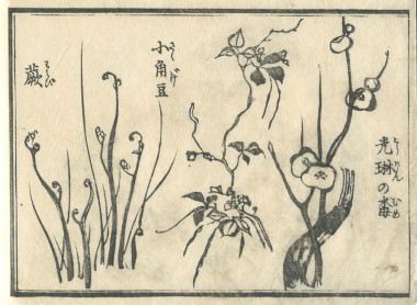 花鳥圓式18(kachouenshiki 18)