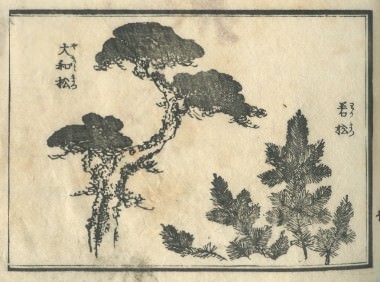 花鳥圓式19(kachouenshiki 19)