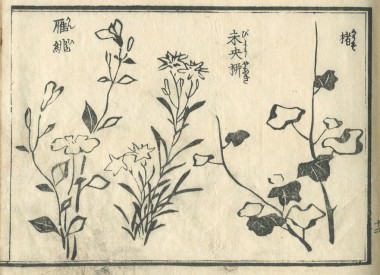 花鳥圓式23(kachouenshiki 23)