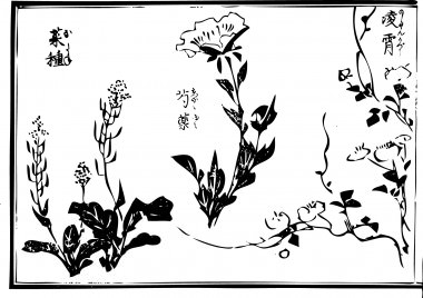 A "peony", a "rapeseed", and "trumpet creeper." are drawn.
