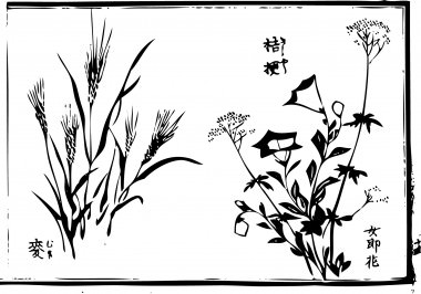 A "Chinese bellflower", "Patrinia scabiosaefolia", and "wheat" are drawn.