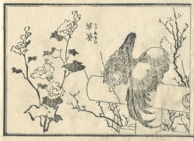 花鳥圓式28(kachouenshiki 28)