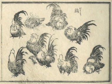 花鳥圓式29(kachouenshiki 29)