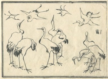 花鳥圓式30(kachouenshiki 30)