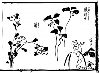 "chrysanthemum" is drawn.