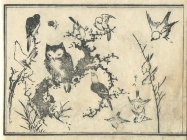 花鳥圓式36(kachouenshiki 36)