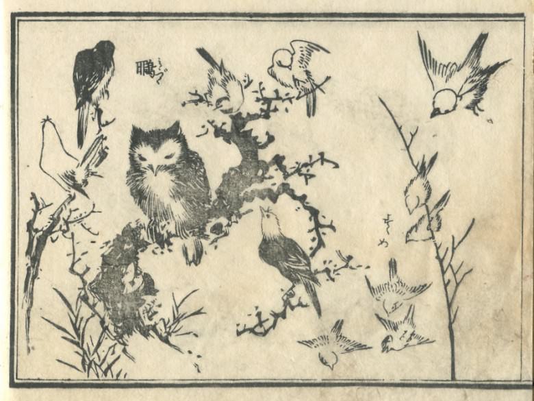 In addition to this, various birds are drawn with the "homed owl."