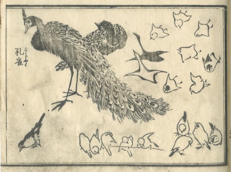 In addition to this, some birds are drawn with the "peafowl."