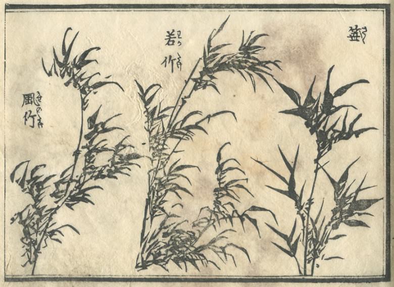 The leaf of the bamboo which blows in Wakatake or a wind, or bamboo grass