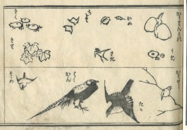 花鳥圓式41(kachouenshiki 41)