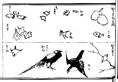 It is drawn a "chrysanthemum",a "paulownia , a "plover", a "tortoise", a "kingfisher", a "sparrow",a "hawk".