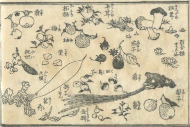 花鳥圓式48(kachouenshiki 48)