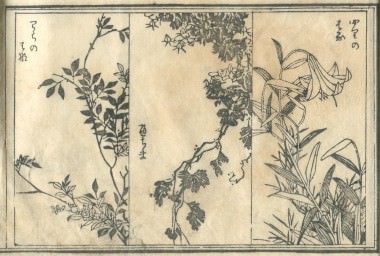 花鳥圓式49(kachouenshiki 49)