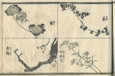 花鳥圓式53(kachouenshiki 53)