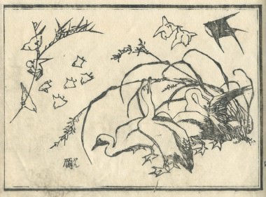 花鳥圓式7(kachouenshiki 7