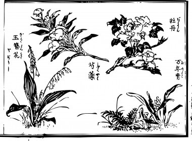 A "peony", "Rohdea japonica" and a "peony", and "Hosta" are drawn)