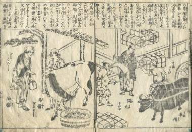 kashiragakizouhokinmouzui-4-person-23